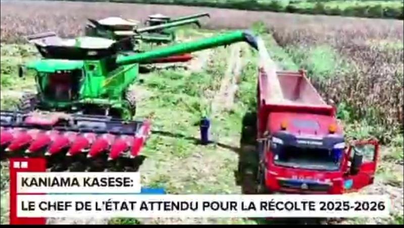 service national: 40 000 tonnes de maïs attendues cette saison soit une augmentation de 60 %, félix tshisekedi lancera bientôt la récolte de la saison agricole