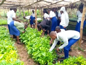 Visite pépinière par des élèves