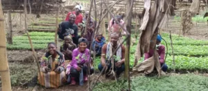 Suivi technique parcelles reboisées