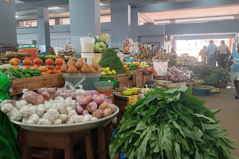 le conflit au moyen orient déclenche un choc alimentaire et énergétique en afrique