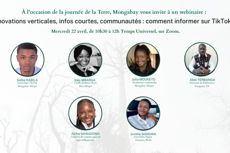 journée de la terre : mongabay afrique se lance sur tiktok