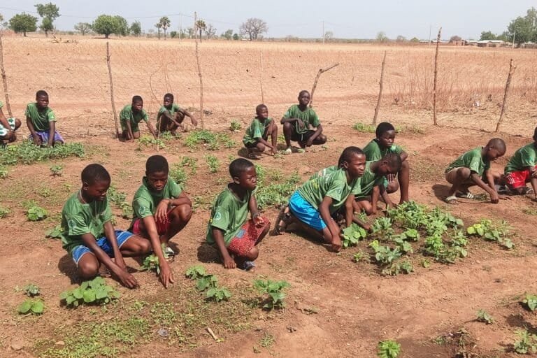 quand les clubs verts de la pendjari aident à former les gardiens de demain