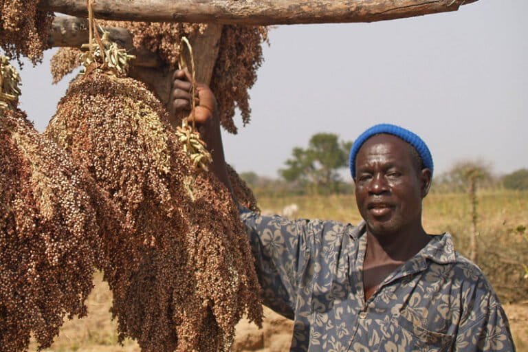 burkina faso : les baisses de rendement agricole liées au climat augmentent les migrations