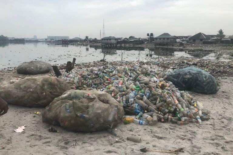 les dégâts des plastiques biodégradables n’épargnent pas les fœtus
