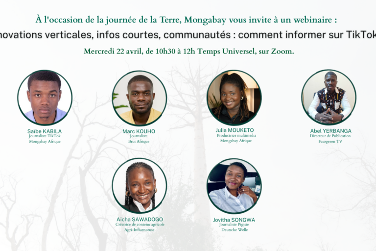 webinaire mongabay afrique : « innovations verticales, infos courtes, communautés : comment informer sur tiktok ? »