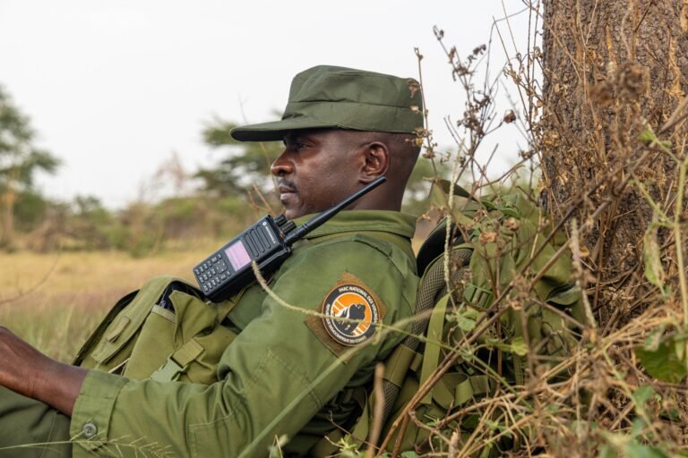 emmanuel de merode, directeur du parc national des virunga : « si la conservation crée des difficultés, elle ne fonctionnera pas »