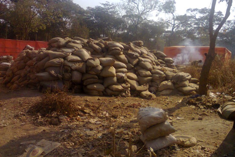 À l’est de la rdc, les journalistes environnementaux pris en étau entre guerre et intérêts miniers