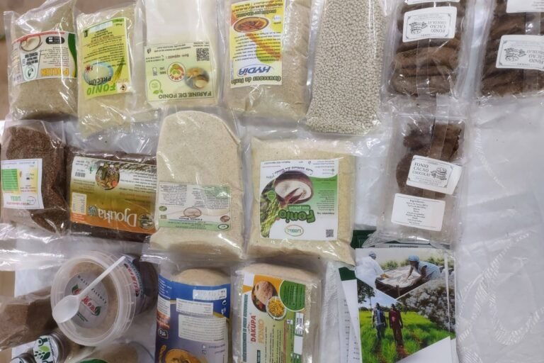togo : la culture du fonio pour s’adapter aux dérèglements climatiques