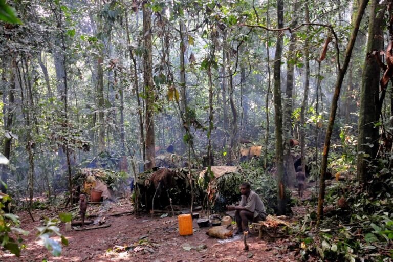 plan d’aménagement forestier, un outil prometteur mais délicat pour la restauration des paysages du bassin du congo