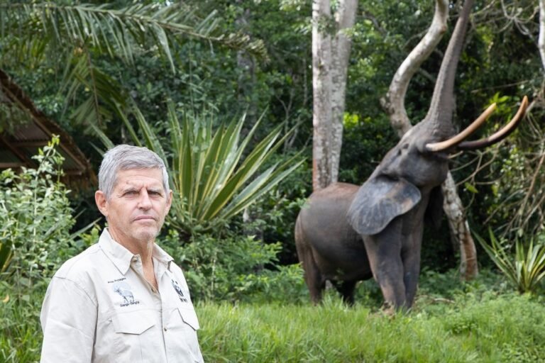 rdc : luis arranz, un amoureux des « missions impossibles » pour changer le destin de la salonga