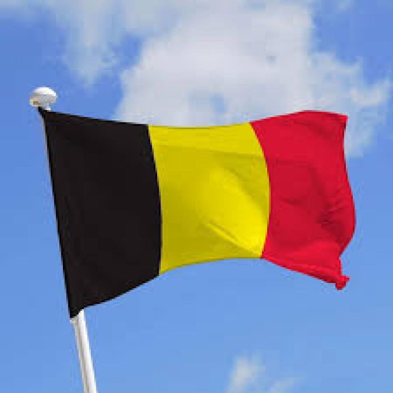 la belgique définitivement condamnée pour crimes contre l’humanité pendant la colonisation en rdc