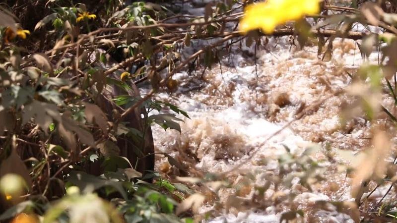 Haut-Katanga : l’IRDH alerte sur une pollution présumée liée aux activités d'une entreprise minière à Kipushi haut katanga : l’irdh alerte sur une pollution présumée liée aux activités d'une entreprise minière à kipushi