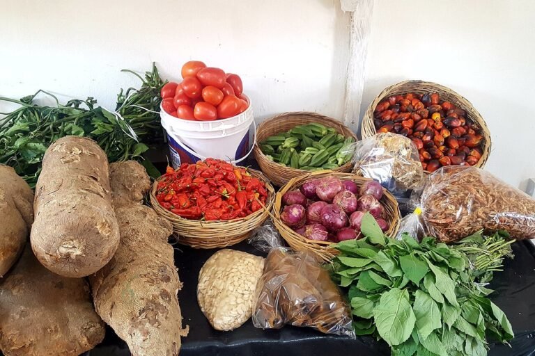 l’onu mise sur des systèmes agroalimentaires résilients pour lutter contre la faim en afrique