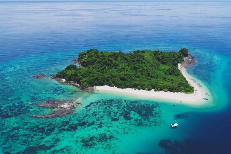 six sanctuaires marins, dont quatre en afrique, décrochent le label « blue park »