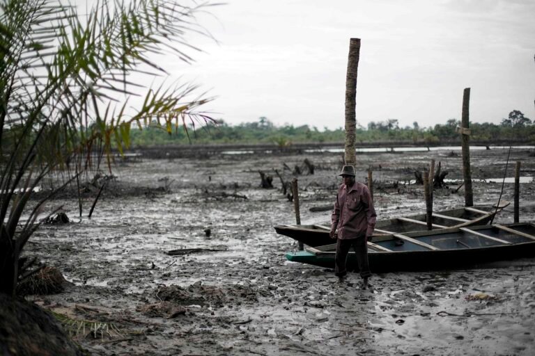 le prix écologique : le lourd tribut de l’afrique face aux multinationales