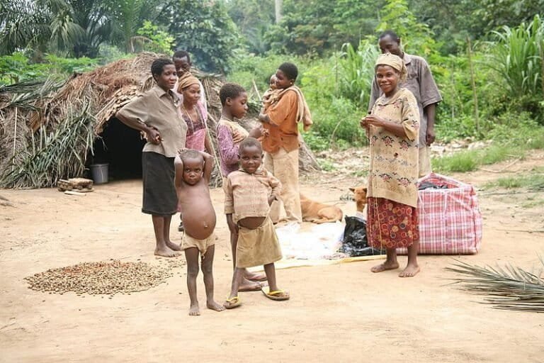 cameroun : une vingtaine d’associations dénoncent le « pillage du bois » dans une forêt vitale pour les peuples autochtones baka