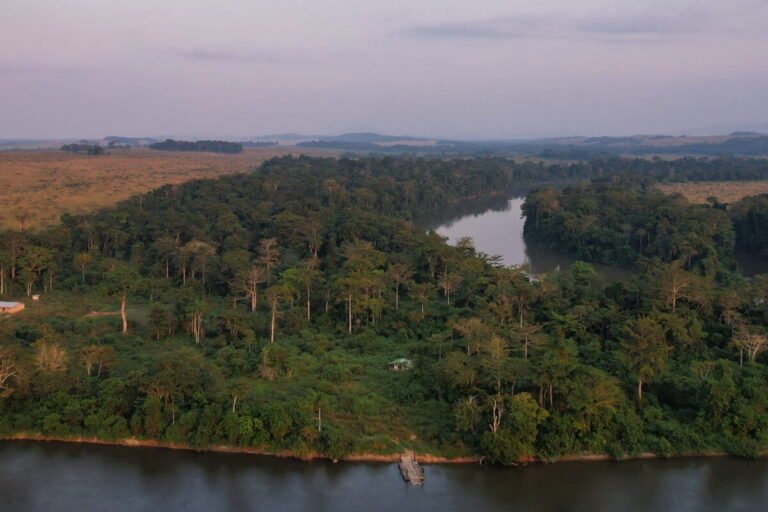 podcast planète mongabay #19 ebola : quels liens entre santé et environnement ?