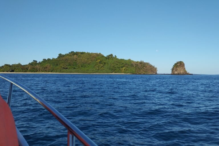 nosy tanihely à madagascar : des enjeux de taille autour d’un petit parc bleu