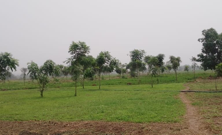 Togo : Des maraîchères s’organisent pour résister au changement climatique et à la dégradation des sols togo : des maraîchères s’organisent pour résister au changement climatique et à la dégradation des sols