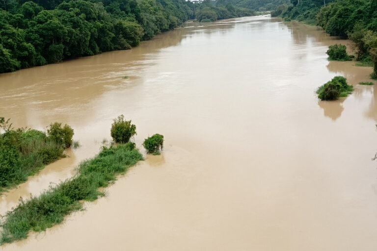 côte d’ivoire : À daoukro, l’orpaillage détruit les terres et les cours d’eau à restaurer