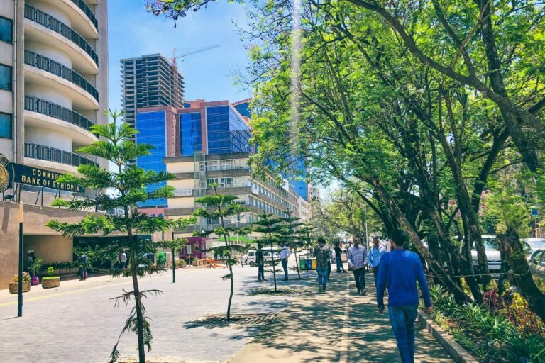 les forêts urbaines, un rempart essentiel contre la crise climatique et ses effets sur la santé