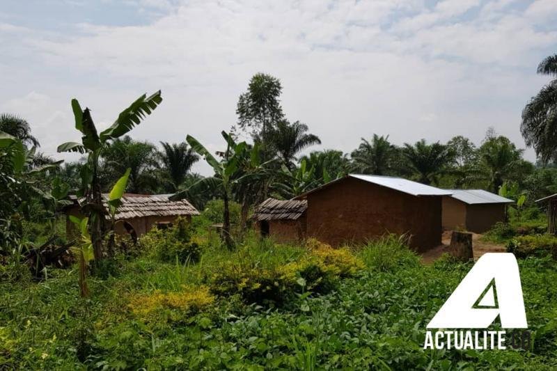 rdc fizi : kanguli, masunga et nakiehele se vident après de nouveaux affrontements entre l'armée et l'afc/m23