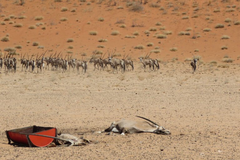 Les données météo comme premier bouclier contre El Niño en Afrique les données météo comme premier bouclier contre el niño en afrique